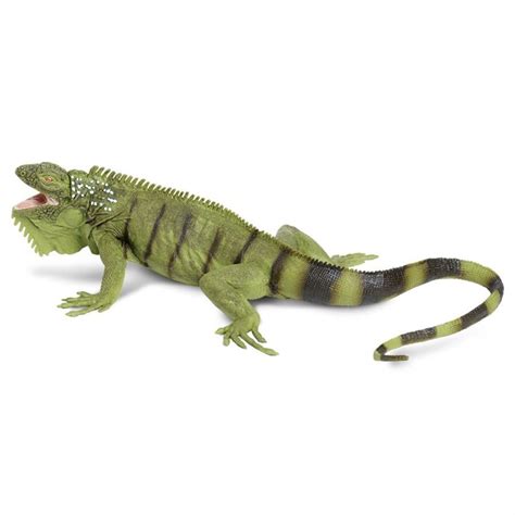 Iguana Toy - The Tye-Dyed Iguana - Reptiles and Reptile Supplies in St. Louis.