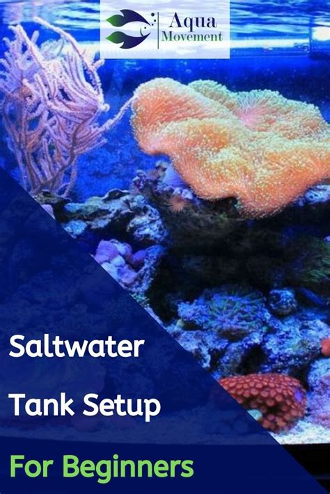 Saltwater Tank Setup, Saltwater Aquarium Fish, Freshwater Aquarium ...