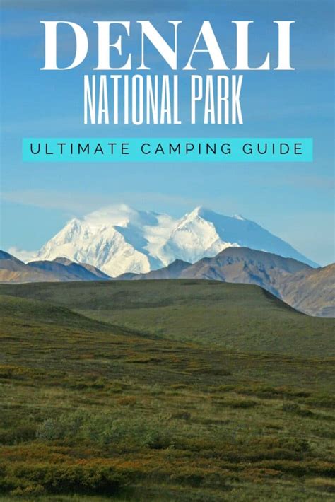 The Ultimate Guide to Camping in Denali National Park - National Park ...