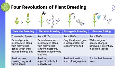 Four Revolutions of Plant Breeding - Innovative Genomics Institute (IGI)