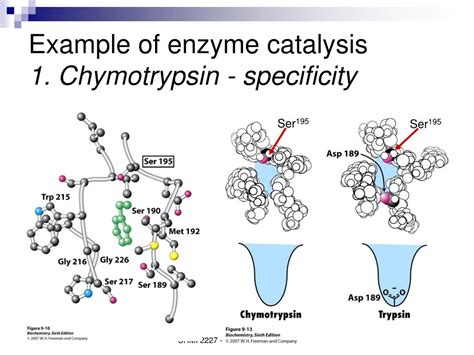 PPT - CHMI 2227E Biochemistry I PowerPoint Presentation, free download - ID:2684855