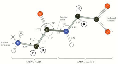 Course: Introduction to Visualization of Protein Structures - March 2016