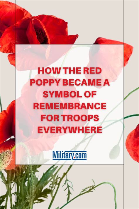 How the Red Poppy Became a Symbol of Remembrance for Troops Everywhere ...