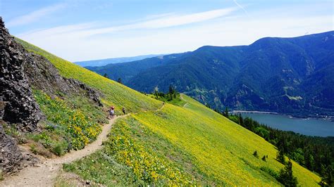 Popular Hikes - Columbia River Gorge