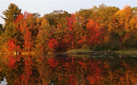 60 of our favourite photos of Canadian fall foliage | Cottage Life ...