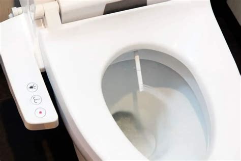 How to Add a Bidet to a Standard Toilet: A Guide for Easy Installation | AdvanceMyHouse.com