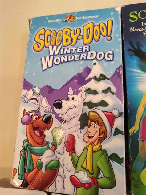 Lot Of 5 Scooby-Doo VHS- Ghoul School, Winter Wonderdog, Great Mysteries, More! | eBay