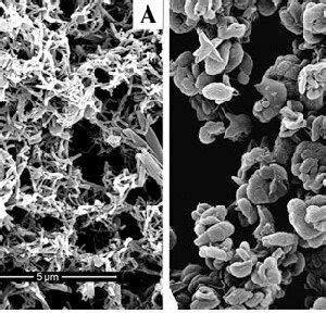 Scheme 1 Synthesis of polyimide with controllable morphologies via A:... | Download Scientific ...