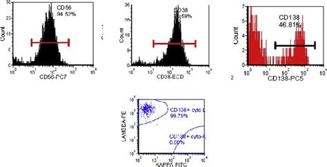 Flow cytometry figure demonstrating CD138+, CD38 + and CD56 + plasma ...