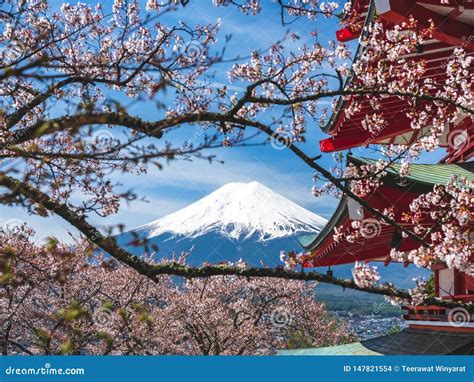 Japan Fuji Mountain Sakura Cherry Blossom with Red Pagoda Landmark ...