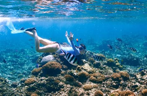 Best Snorkel Spots in PR Blog Post | Snorkeling Puerto Rico