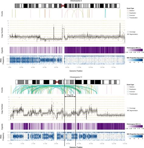 SVs, CN, zygosity and allele frequency along chromosomes 3 and 11. Arcs... | Download Scientific ...