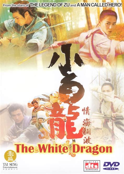 The White Dragon (2004) - Wilson Yip | Synopsis, Characteristics, Moods ...