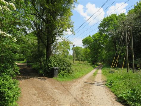 Private driveway near Liss © Malc McDonald cc-by-sa/2.0 :: Geograph ...