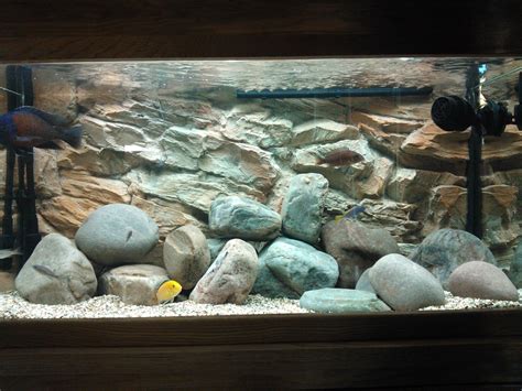 Another cool decoration idea to match natural river boulders with our 3D rock background Fish ...