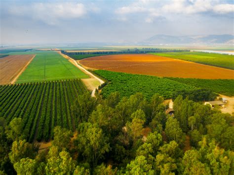 Hula Valley | Dany Sternfeld | Flickr