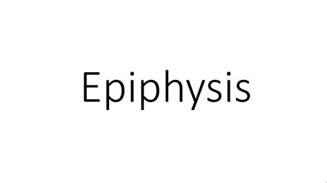 Epiphysis - General Anatomy - YouTube