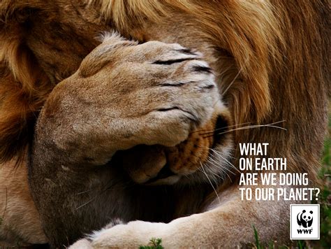 The latest print ad campaign for the WWF (World Wildlife Foundation) consists of three prints ...