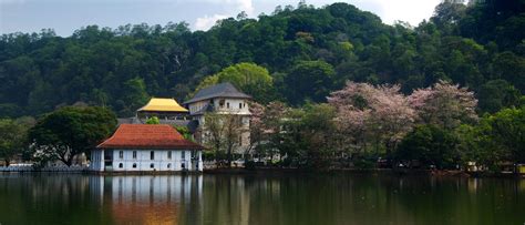 Kandy: City of the bruised sky | IndiaPost NewsPaper