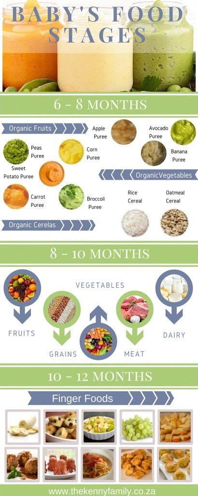 Baby's Food Stages Infographic http://newborn-baby-care.us Baby Puree ...