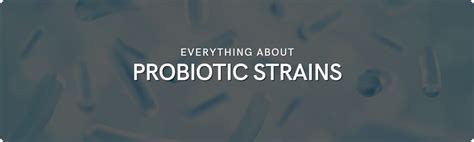 Probiotic Strains And The Health Advantages They Bring