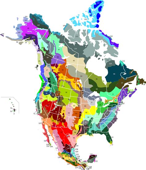 Terrestrial Ecoregions of North America - Vivid Maps