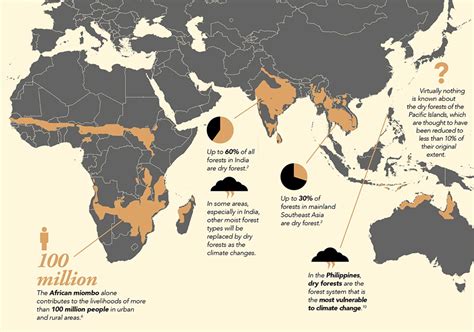 Tropical Dry Forests Factsheet - CIFOR — Jeremiah James Creates