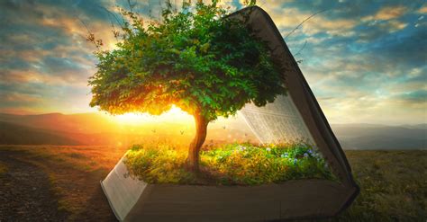 How 3 Biblical Trees Reveal the Wonder of Salvation - Explore the Bible