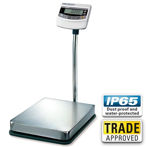 CAS BW Digital Weighing Floor Scale - Platform - Trade Approved NZ