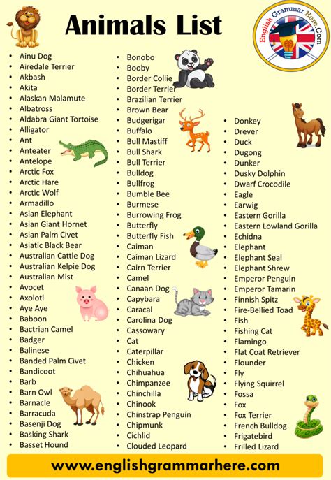 Animals Name List In English A To Z