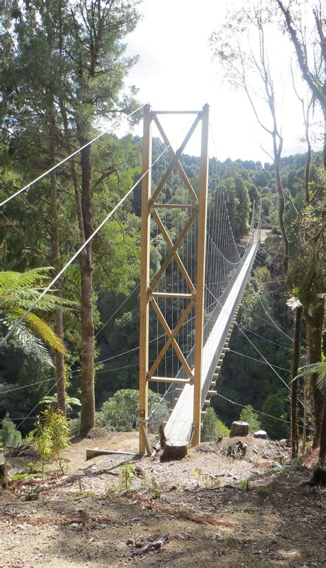 Maramataha Bridge opened 2011 - NZ | Paradise falls, Living in new zealand, New zealand