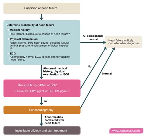 Heart failure: Causes, types, diagnosis, treatments & management ...