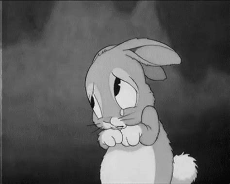 Crying Bunny Pictures, Photos, and Images for Facebook, Tumblr, Pinterest, and Twitter