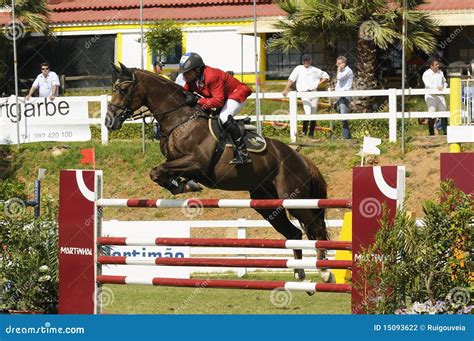 Show jumping editorial photography. Image of algarve - 15093622