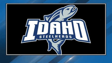 Idaho Steelheads unveil 2024-25 regular season schedule