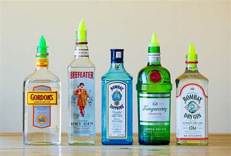 Gin Brands | Top 10 Gin Brands You Should Know About