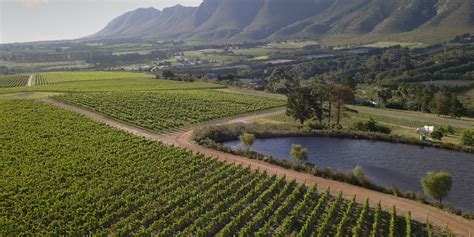 Exploring the Stellenbosch Wine Route | Wine in the Cape