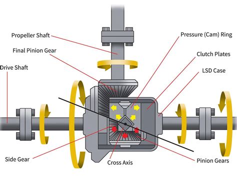 Rear Differential Is Part Of What System