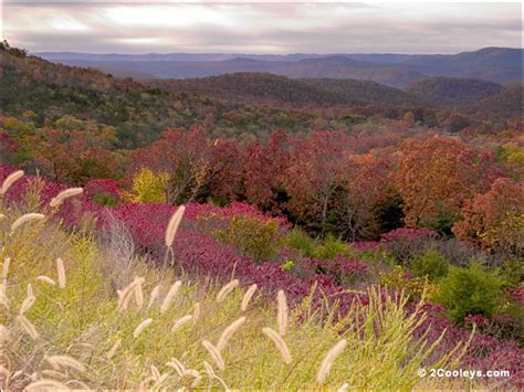 33 Ozarks fall foliage photos - 2Cooleys hill top foliage pics