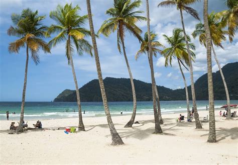 7 Best Beaches in Trinidad and Tobago | Trinidad beaches, Port of spain trinidad, Trinidad