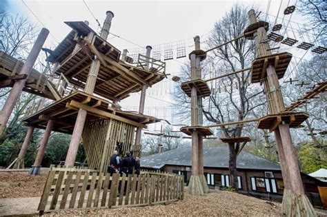 Go Ape closes adventure park amid investigation after person injured at Bracknell site | Evening ...