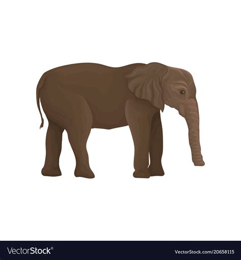 Elephant wild animal side view Royalty Free Vector Image