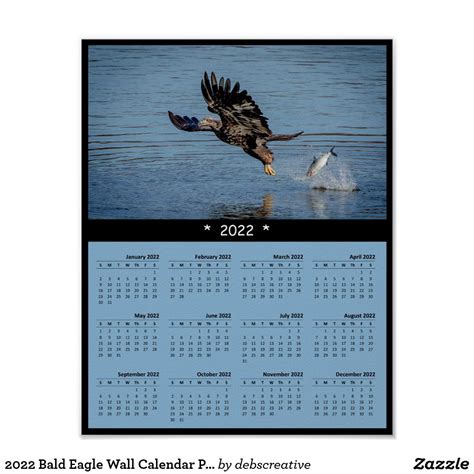 Bald Eagle Calendars | Zazzle