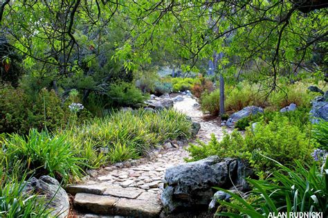 Kirstenbosch Botanical Gardens - Cape Town is Awesome