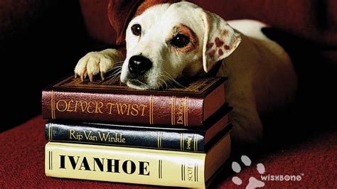 Wishbone (TV Series 1995 - 1997)