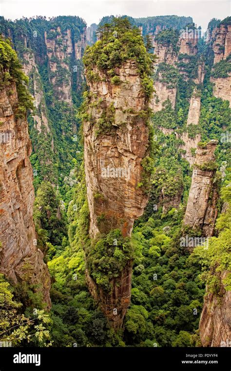 The famous pillar of Avatar Floating Mountain in Zhangjiajie National ...