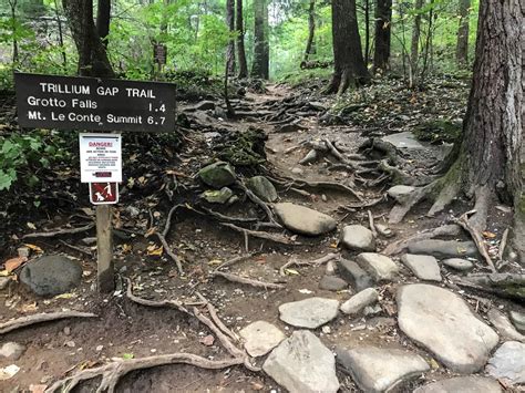 Driving the Roaring Fork Motor Nature Trail in the Great Smoky Mountains