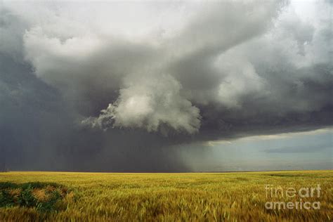 Scud Cloud Photograph by Jim Reed