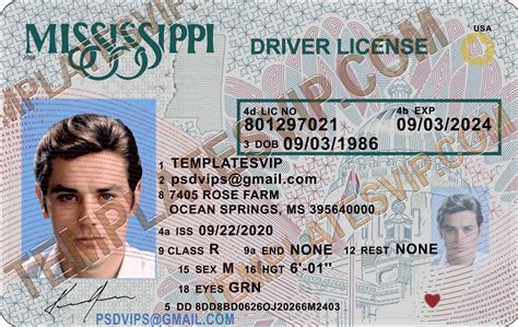 Mississippi (MS) – Drivers License PSD Template Download 2022 – Templates drivers licenses premium