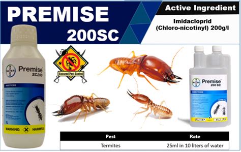 Termites Control – Assured Pest Control